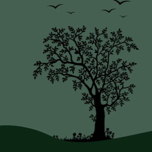 男生和女生抜萝卜视频
